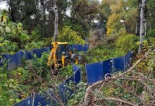 eko front ns buldozer sodros dnevna