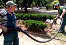 Privatizacija svega, drugi deo: voda, gradski prevoz, groblja Komunalci održavaju park