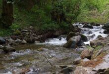 Prijepolje od resornog ministarstva zahteva zaštitu Ratajske reke ratajska reka