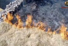 Požari u Srbiji: Pogodno tlo Požar u Homolju; Foto: Snimak ekrana/Fejsbuk/Rendžeri istočne Srbije