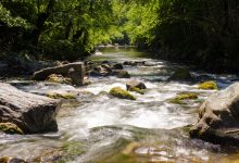 Srbija radi koristi investitora uništava svoju prirodu od međunarodnog značaja Reka Studenica; Foto: Tijana Jevtić