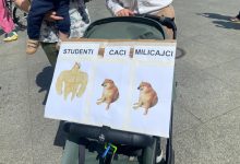 „Iako smo daleko, uz vas smo!“, poručeno sa skupa podrške studentima u Berlinu PHOTO-2025-05-12-10-35-35 (1)
