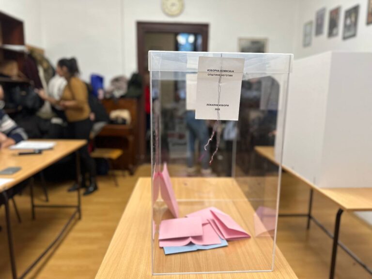 Lokalni izbori u Negotinu