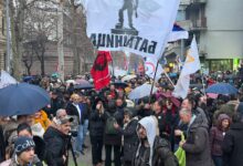 BLOG Uživo: Šest meseci od policijske brutalnosti u Valjevu Šest meseci od policijske brutalnosti u Valjevu