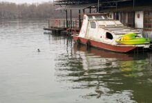 Suše tek dolaze i građani ne mogu da nadomeste decenije nedovoljnog ulaganja u vodoprivredu Dunav