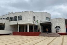 Napadnuta predstavnica liste „Knjaževac uz studente" dok je pokušavala da snimi cepanje postera Dom kulture Knjaževac
