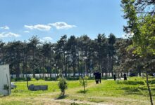 Koalicija 27: Zašto je Beograd izdao dozvolu za radove u Parku prijateljstva pre procene uticaja akvarijuma na životnu sredinu? Policija u parku Ušće 1. maja; Foto: Mašina