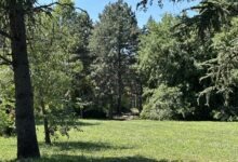 Srbija puna ekoloških žarišta: „Bez institucija ne možemo rešiti sve probleme“ IMG_7986