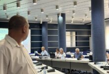 Burna sednica o „Novom Sadu na vodi”: Građani žele šumu drveća, a ne šumu solitera Sednica Komisije za planove o Novom Sadu na vodi