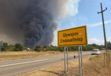 Požari i dalje aktivni, najgora situacija u Deliblatskoj peščari i Stolovima photo_2026-08-07 14.28.42