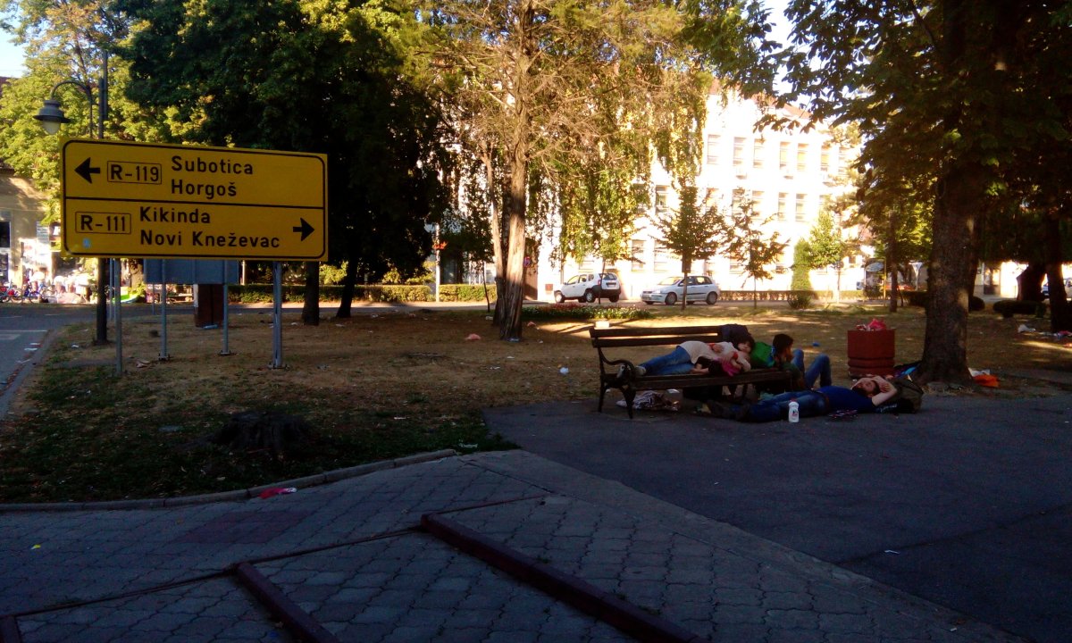 foto: Marko Miletić
