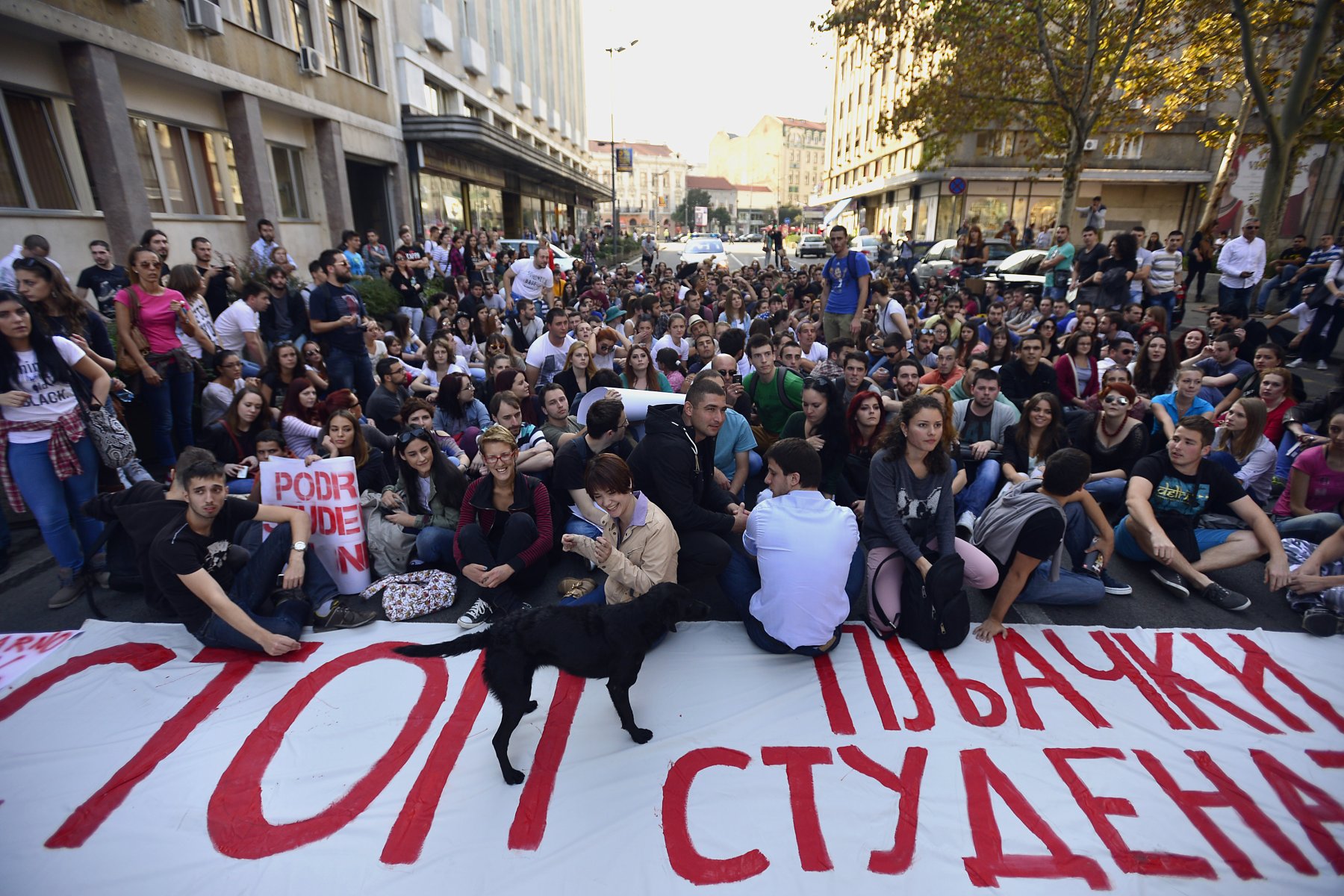 foto: Nemanja Jovanović / Kamerades