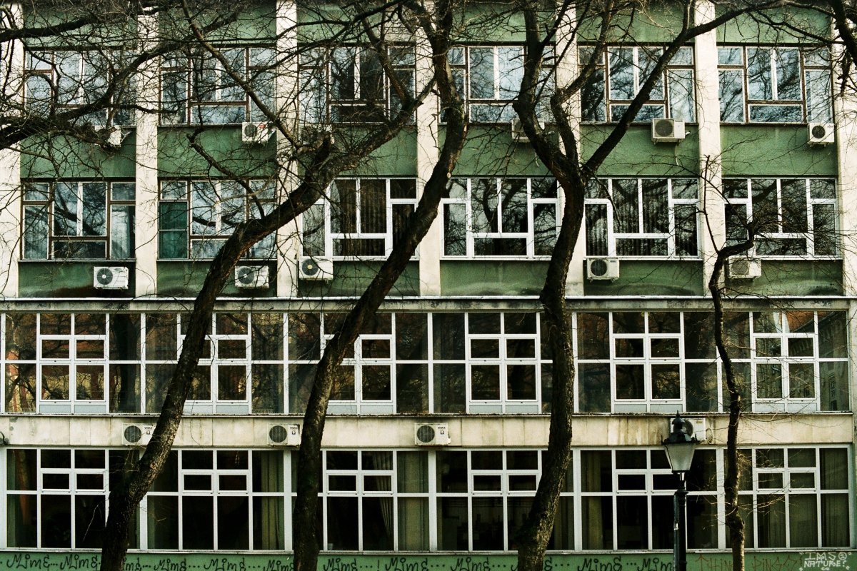 foto: Marko Miletić