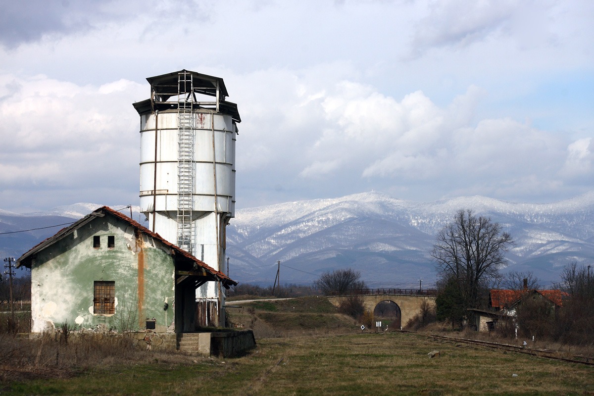 Foto: Milovan Milenković / Kamerades