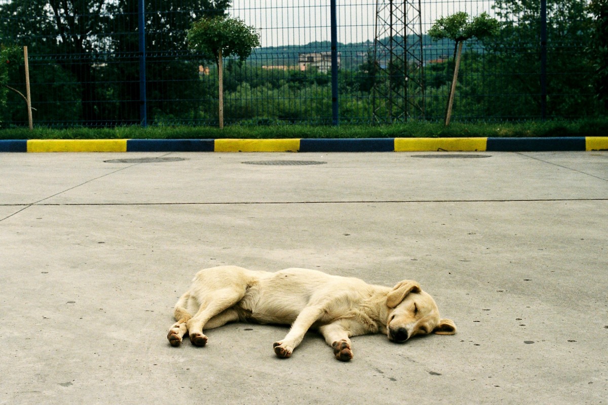 Foto: Marko Miletić / Mašina