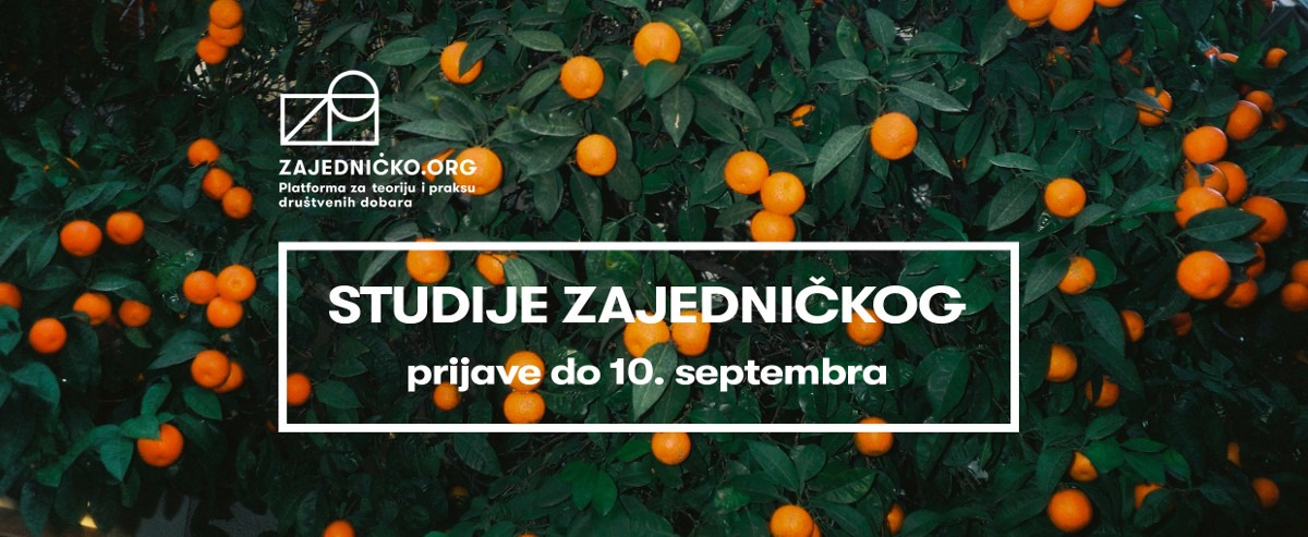 studije-zajednickog