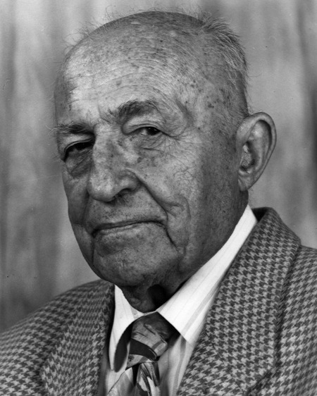 Dragoslav Avramović