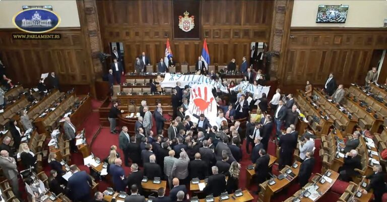 Foto: Snimak ekrana, Parlament Srbija Youtube