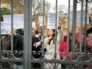 Protest ispred Gimnazije "Jovan Jovanović Zmaj" u Novom Sadu; Foto: Mašina