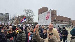 Skup podrške demonstracijama u Nišu, Oslo; Foto: Aleksandra Tanasković