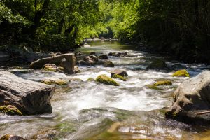 Reka Studenica; Foto: Tijana Jevtić