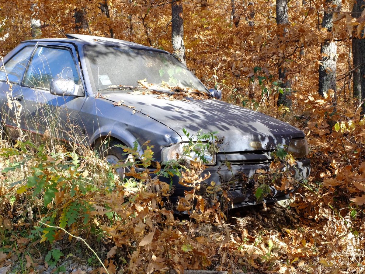 Šuma