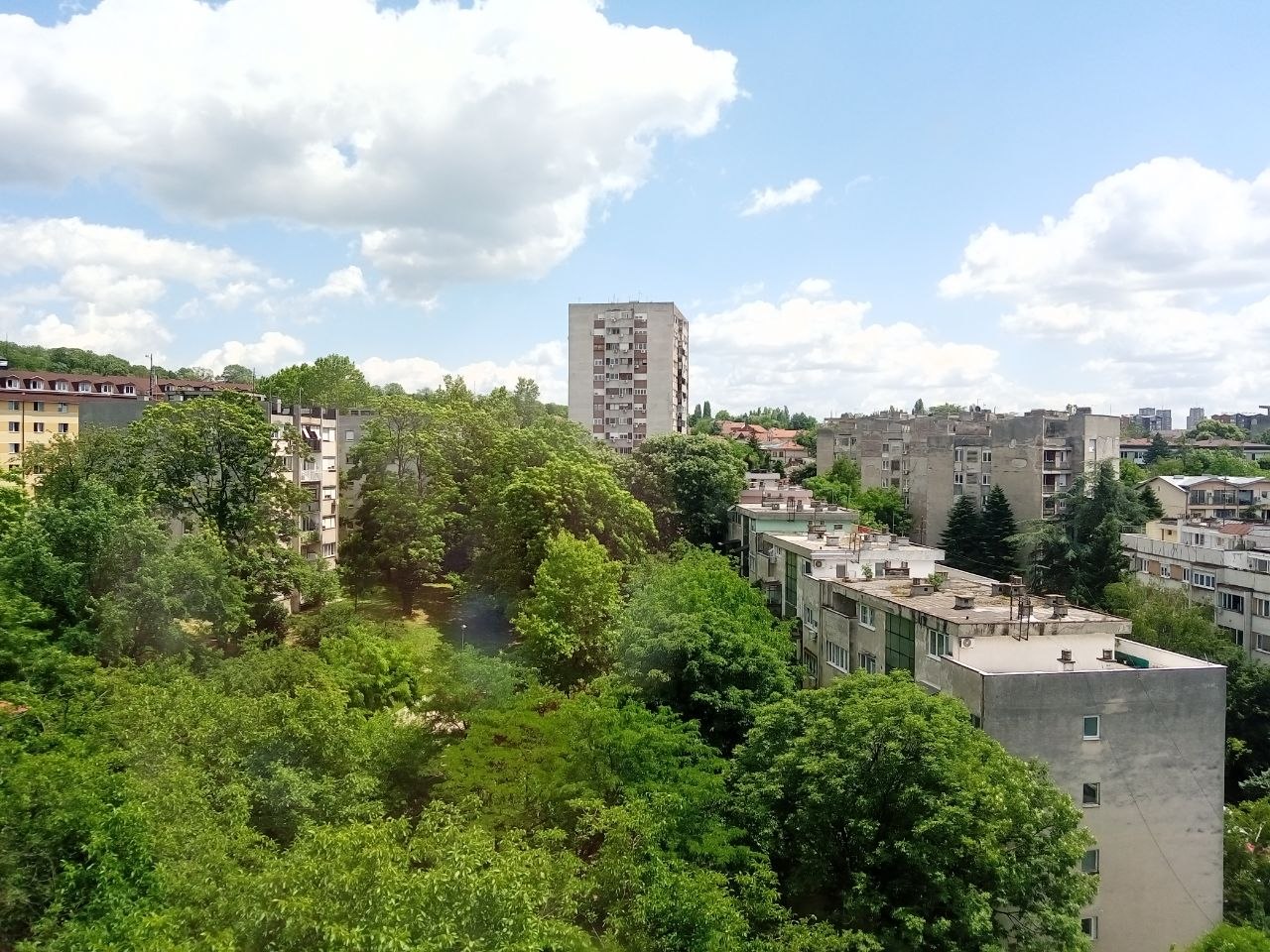 Zvezdarska šuma